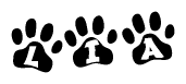 The image shows a series of animal paw prints arranged horizontally. Within each paw print, there's a letter; together they spell Lia