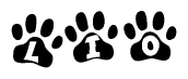 The image shows a series of animal paw prints arranged horizontally. Within each paw print, there's a letter; together they spell Lio