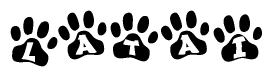 The image shows a series of animal paw prints arranged horizontally. Within each paw print, there's a letter; together they spell Latai