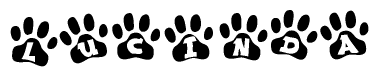 The image shows a series of animal paw prints arranged in a horizontal line. Each paw print contains a letter, and together they spell out the word Lucinda.