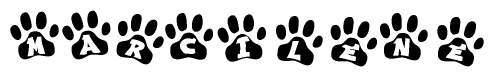 The image shows a series of animal paw prints arranged in a horizontal line. Each paw print contains a letter, and together they spell out the word Marcilene.