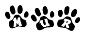 The image shows a series of animal paw prints arranged horizontally. Within each paw print, there's a letter; together they spell Mur