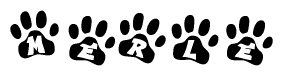The image shows a series of animal paw prints arranged horizontally. Within each paw print, there's a letter; together they spell Merle