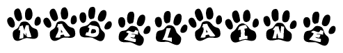 The image shows a series of animal paw prints arranged horizontally. Within each paw print, there's a letter; together they spell Madelaine