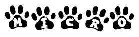 The image shows a series of animal paw prints arranged in a horizontal line. Each paw print contains a letter, and together they spell out the word Micro.