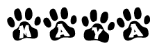 The image shows a series of animal paw prints arranged in a horizontal line. Each paw print contains a letter, and together they spell out the word Maya.