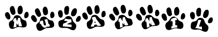 The image shows a row of animal paw prints, each containing a letter. The letters spell out the word Muzammil within the paw prints.