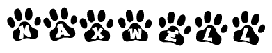 The image shows a series of animal paw prints arranged in a horizontal line. Each paw print contains a letter, and together they spell out the word Maxwell.