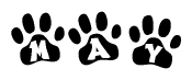 The image shows a row of animal paw prints, each containing a letter. The letters spell out the word May within the paw prints.