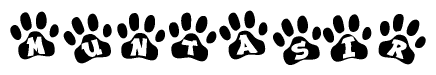 The image shows a series of animal paw prints arranged in a horizontal line. Each paw print contains a letter, and together they spell out the word Muntasir.