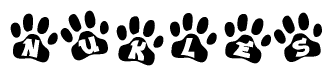 The image shows a row of animal paw prints, each containing a letter. The letters spell out the word Nukles within the paw prints.