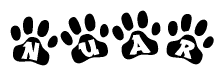 The image shows a series of animal paw prints arranged horizontally. Within each paw print, there's a letter; together they spell Nuar