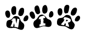 The image shows a series of animal paw prints arranged in a horizontal line. Each paw print contains a letter, and together they spell out the word Nir.