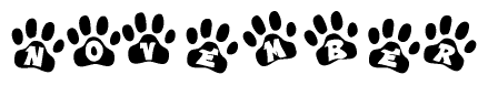 The image shows a row of animal paw prints, each containing a letter. The letters spell out the word November within the paw prints.