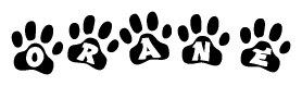 The image shows a series of animal paw prints arranged in a horizontal line. Each paw print contains a letter, and together they spell out the word Orane.