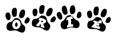 The image shows a row of animal paw prints, each containing a letter. The letters spell out the word Orie within the paw prints.