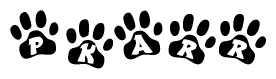 The image shows a row of animal paw prints, each containing a letter. The letters spell out the word Pkarr within the paw prints.