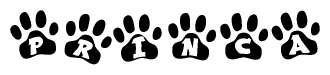 The image shows a series of animal paw prints arranged horizontally. Within each paw print, there's a letter; together they spell Princa