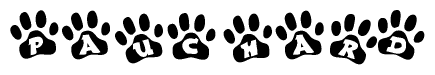 The image shows a series of animal paw prints arranged horizontally. Within each paw print, there's a letter; together they spell Pauchard