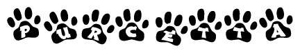 The image shows a series of animal paw prints arranged horizontally. Within each paw print, there's a letter; together they spell Purcetta
