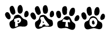 The image shows a series of animal paw prints arranged in a horizontal line. Each paw print contains a letter, and together they spell out the word Pato.