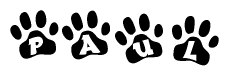 The image shows a series of animal paw prints arranged in a horizontal line. Each paw print contains a letter, and together they spell out the word Paul.