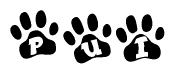 The image shows a series of animal paw prints arranged in a horizontal line. Each paw print contains a letter, and together they spell out the word Pui.
