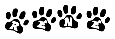 The image shows a row of animal paw prints, each containing a letter. The letters spell out the word Rene within the paw prints.
