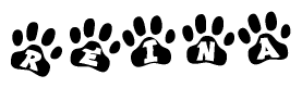 The image shows a series of animal paw prints arranged in a horizontal line. Each paw print contains a letter, and together they spell out the word Reina.
