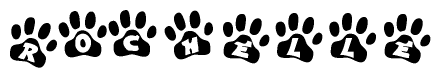 The image shows a series of animal paw prints arranged in a horizontal line. Each paw print contains a letter, and together they spell out the word Rochelle.