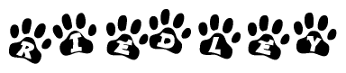 The image shows a row of animal paw prints, each containing a letter. The letters spell out the word Riedley within the paw prints.