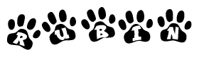 The image shows a row of animal paw prints, each containing a letter. The letters spell out the word Rubin within the paw prints.