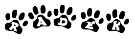 The image shows a series of animal paw prints arranged in a horizontal line. Each paw print contains a letter, and together they spell out the word Radek.