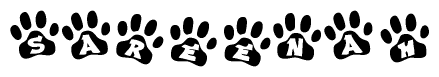 The image shows a series of animal paw prints arranged in a horizontal line. Each paw print contains a letter, and together they spell out the word Sareenah.