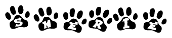 The image shows a series of animal paw prints arranged in a horizontal line. Each paw print contains a letter, and together they spell out the word Sherie.