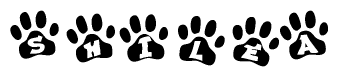 The image shows a series of animal paw prints arranged in a horizontal line. Each paw print contains a letter, and together they spell out the word Shilea.