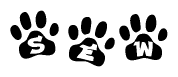 The image shows a series of animal paw prints arranged in a horizontal line. Each paw print contains a letter, and together they spell out the word Sew.