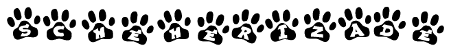 The image shows a row of animal paw prints, each containing a letter. The letters spell out the word Scheherizade within the paw prints.
