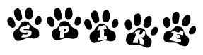Animal Paw Prints with Spike Lettering