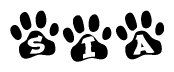 The image shows a series of animal paw prints arranged in a horizontal line. Each paw print contains a letter, and together they spell out the word Sia.