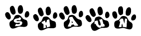 Animal Paw Prints with Shaun Lettering