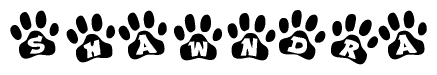 The image shows a series of animal paw prints arranged horizontally. Within each paw print, there's a letter; together they spell Shawndra