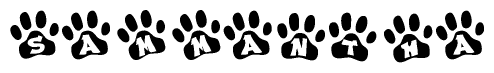 Animal Paw Prints with Sammantha Lettering