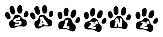 The image shows a series of animal paw prints arranged in a horizontal line. Each paw print contains a letter, and together they spell out the word Salene.