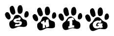 The image shows a series of animal paw prints arranged in a horizontal line. Each paw print contains a letter, and together they spell out the word Shig.
