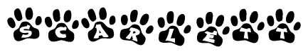The image shows a series of animal paw prints arranged horizontally. Within each paw print, there's a letter; together they spell Scarlett