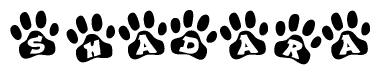 The image shows a series of animal paw prints arranged in a horizontal line. Each paw print contains a letter, and together they spell out the word Shadara.