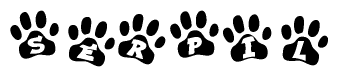 The image shows a series of animal paw prints arranged horizontally. Within each paw print, there's a letter; together they spell Serpil