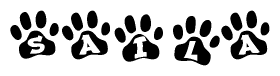   The image shows a series of animal paw prints arranged in a horizontal line. Each paw print contains a letter, and together they spell out the word Saila. 