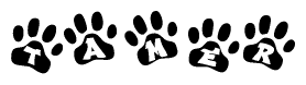 The image shows a series of animal paw prints arranged in a horizontal line. Each paw print contains a letter, and together they spell out the word Tamer.